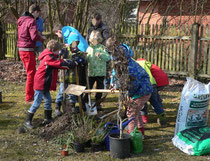 Pflanzung eines phänologischen Gartens in Herrsching