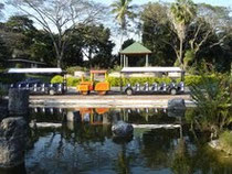 plaza central tren y rosal