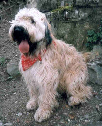 Nico, 03.2001