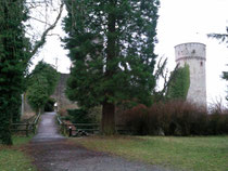 Hohennagold