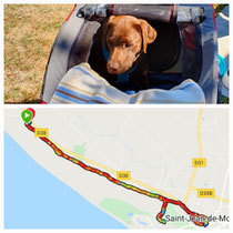 Fritzi im Fahrrad Anhänger und unsere Route 