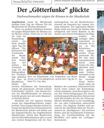 Bericht in der RNZ (13.3.13)