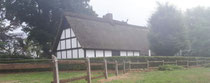Heckenschnitt