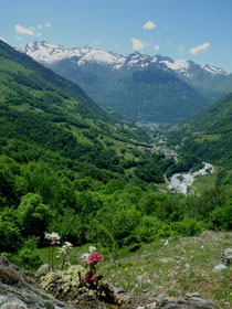 Cliquez sur l'image pour voir l'album