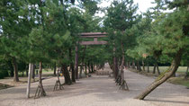 出雲大社・三の鳥居