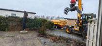Die Hecke hat keine Chance! 