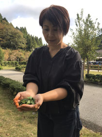 ヘナ生葉🌿です