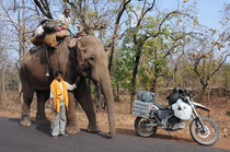 Der Grosse hat immer Vorfahrt in Indien.