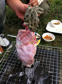 この日のびっくりナンバーワン、差し入れのワニ肉