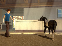 Mein Gestüt - Ein Leben für die Pferde: Screenshot Longieren