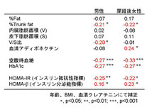 血中オステオカルシンと糖、脂肪代謝指標との関連性