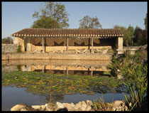 Petit patrimoine : lavoir papillon de Bach dans le Quercy
