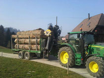 Kranwagen beim Holztransport