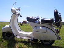 weiße Vespa Super 150