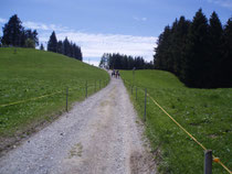 Pasture trail to Les Pleiardes