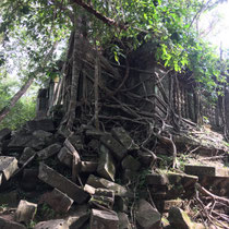 ベンメリア遺跡は天空のお城ラピュタのモデル