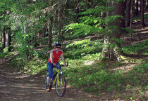 Radfahren im Bayerwald