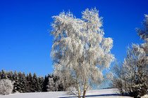 winter im bayerischen wald