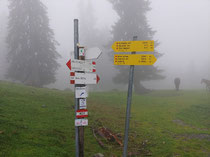 schilderwald am Nebel...