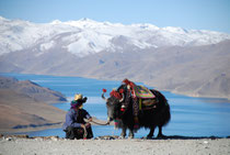 Tibet