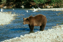 Alaska