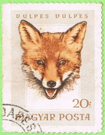 Hungary 1966 European red fox