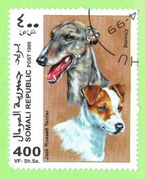 SOMALIA 1999 - Russell Terrier