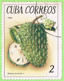 Cuba 1965 Annona muricata L.