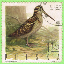 PL 1970 Ptaki łowne - Słonka