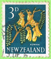 New Zealand 1960 - Kowhai