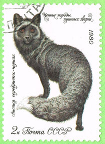 USSR - 1981 - Fox