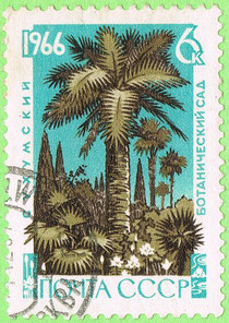 USSR 1966 Botanical garden - palms
