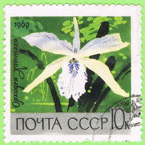USSR 1969 - orchid
