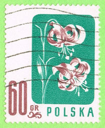 PL 1957 - kwiaty - lilia