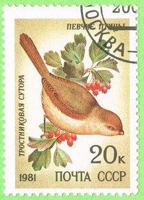USSR - 1981 - song birds