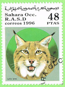 Sahara Occ. 1996 - Lynx lynx