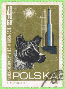 PL 1964 Łajka - pierwszy pies w kosmosie