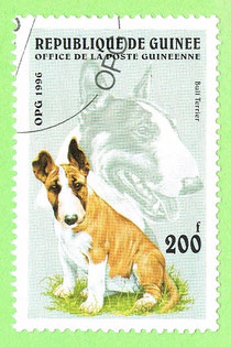Gwinea 1996 - Bull Terrier