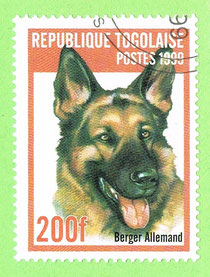 TOGO 1999 - Berger Allemand