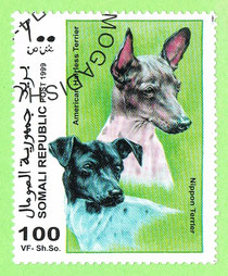 SOMALIA 1999 - Hairless Terrier