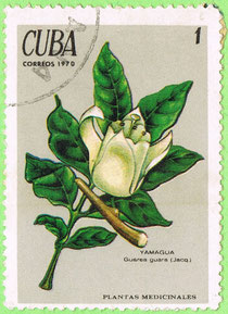 Cuba 1970 Plantas Medicinales