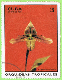 Cuba - 1971 - tropical orchids
