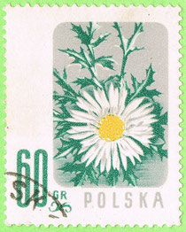 PL 1957 - kwiaty chronione