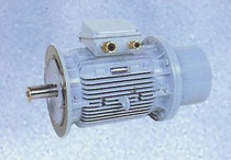 Motor for Winche and Capstan
