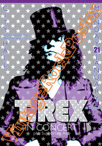 marc bolan,t rex, glam rock, rock n roll, 70s, poster, affiche, vintage rock posters, manifesto,newcastle, 1974, brian eno, david bowie, 20th century boy,children of revolution