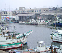平塚魚市場 jimdo