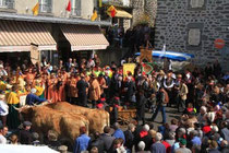 Les tersons Aubrac à Pierrefort