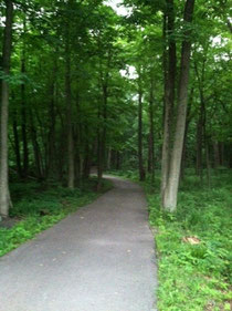 Trail by Mom's House