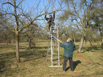 Intensivpflege für einen Apfelbaum