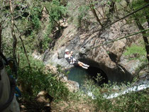 Canopy Miramar